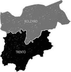 TRENTINO ALTO ADIGE
