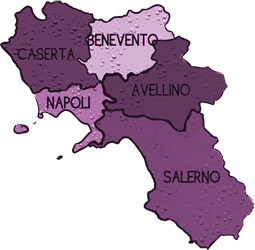 CAMPANIA CAMPANIA
