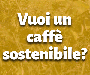 Vuoi un caffè sostenibile? Scegli Fairtrade