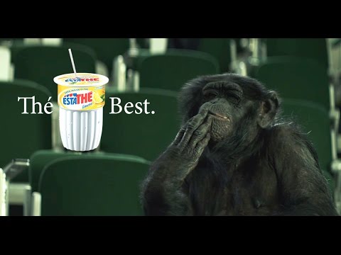 Estathé | Thé Best - scimmia - 2017