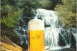 Boccale Birra e Cascata