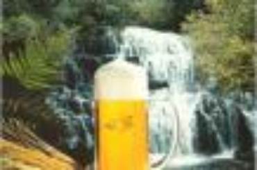 Boccale Birra e Cascata