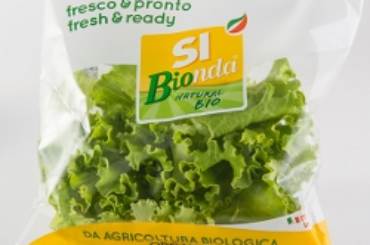SI Bionda - insalata bio