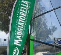 mangiatorella catamarano