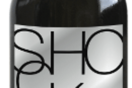 BirradamareShockwood33