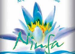 Logo_Ninfa