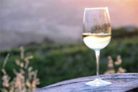 calice-di-verdicchio