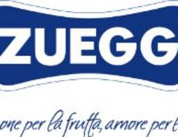 Logo_Zuegg