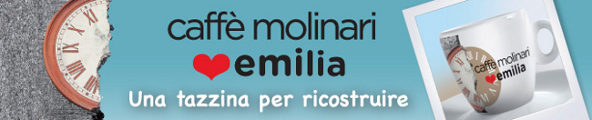 molinari Banner