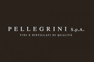 logo Pellegrini SpA
