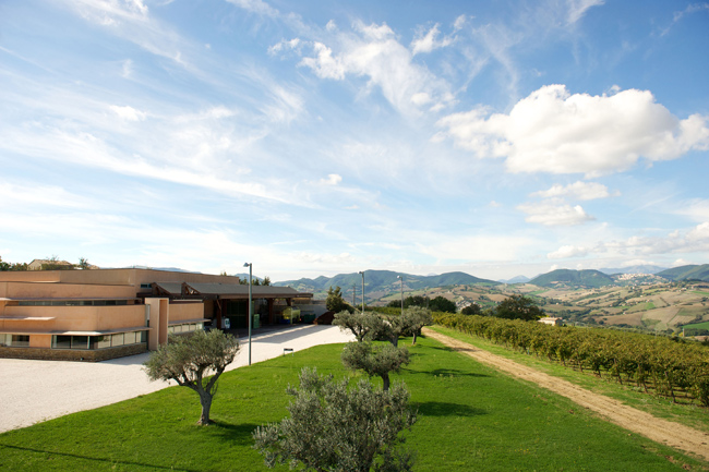 CantinaCasalFarneto_Serra-de-conti