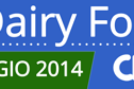 DAIRY forum