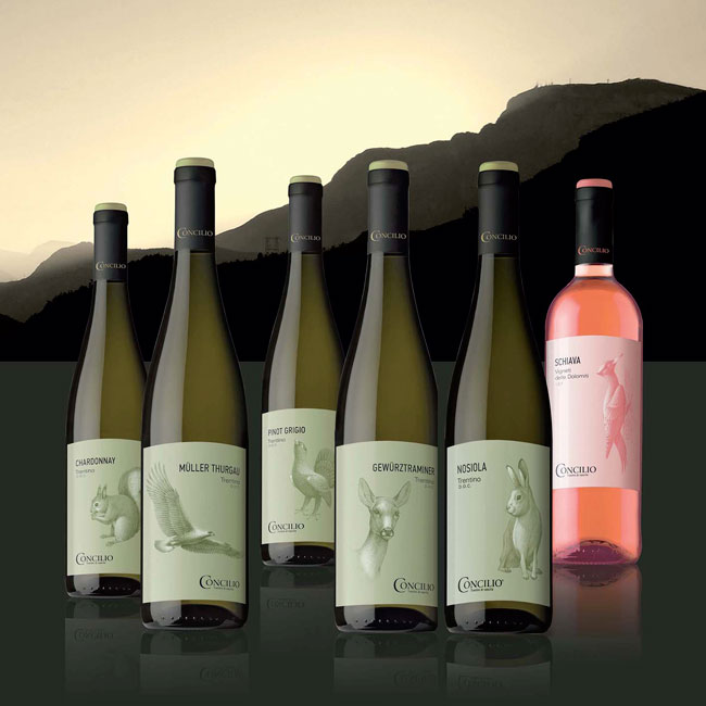 Concilio---I-Nativi-bianchi-e-rosato