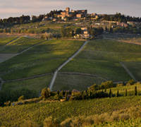 Unione-Viticoltori-Panzano_Il-paese-di-Panzano-e-le-sue-vigne