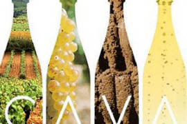 mejor-sumiller-de-cava