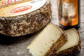 Immagine-Sbirro-e-Menabrea