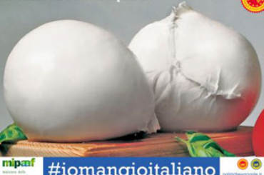 mozzarella-di-bufala