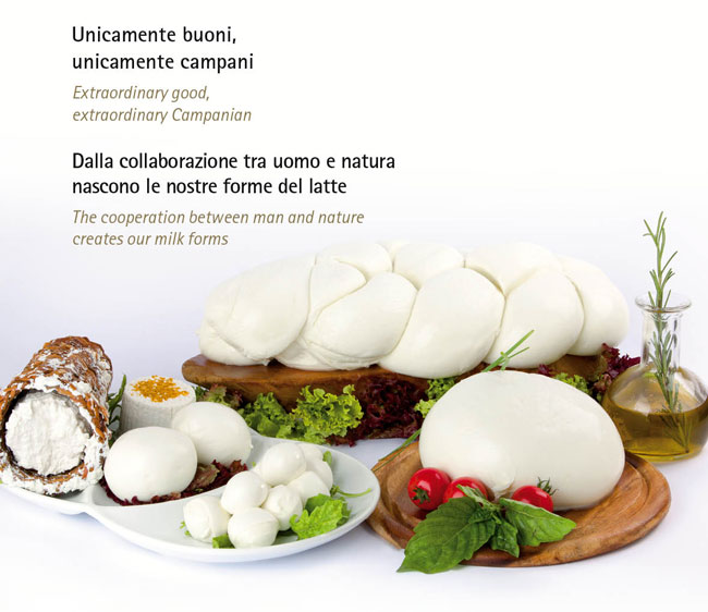 CaseificioRoberta_Banner