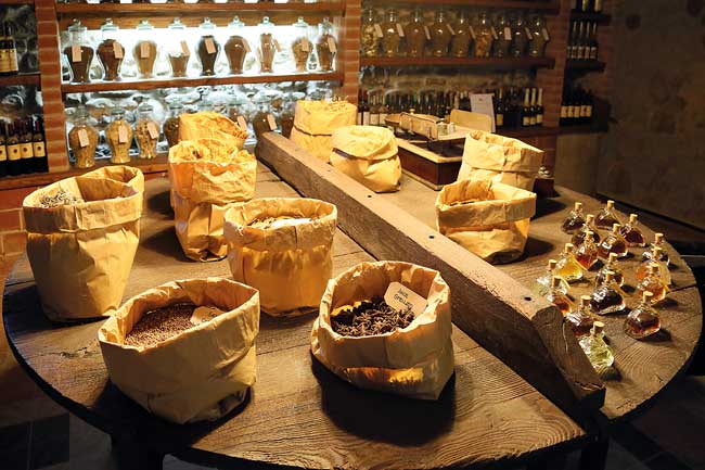 Il-tavolo-dell'erborista-del-Museo-Enologico-Toso