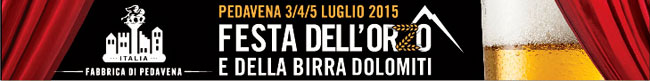 FESTA-DELLORZO-2015_Banner_72dpi_650