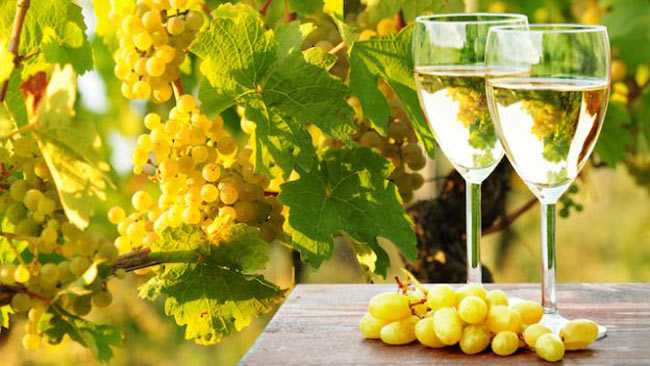 news-coldiretti-vendemmia-vino