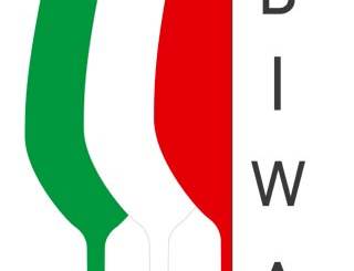 Best Italian Wine Awards Logo 2015