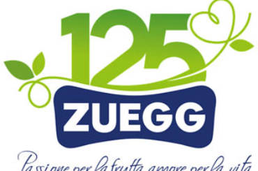 logo zuegg