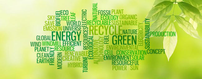 sostenibilita_-verde