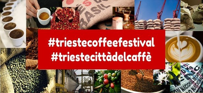 12208709_896113057104912_8800820529425567145_n