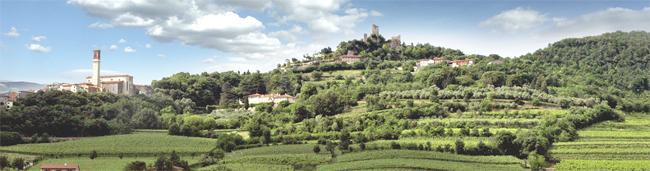 panorama-vigneto-Vitevis