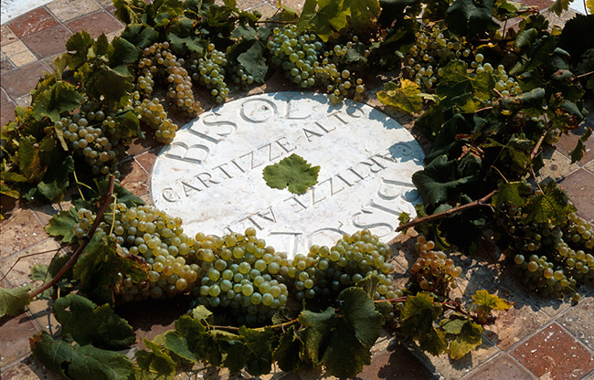 bisol-cartizza-grappoli