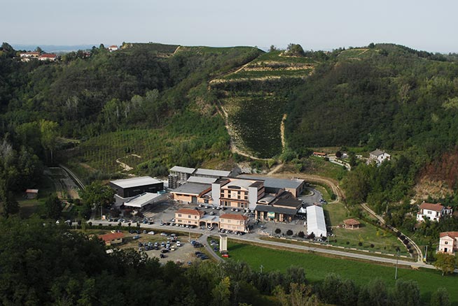 cantina-e-vigneti