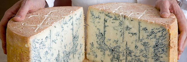gorgonzola-esportazione-654