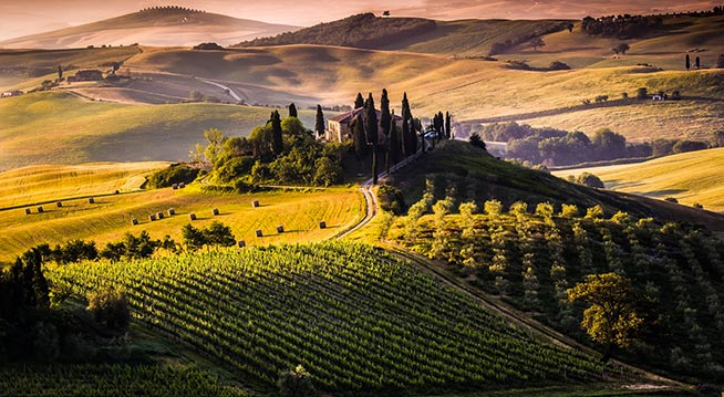 montalcino-vedut