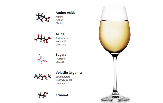 vino-sintetico.componenti