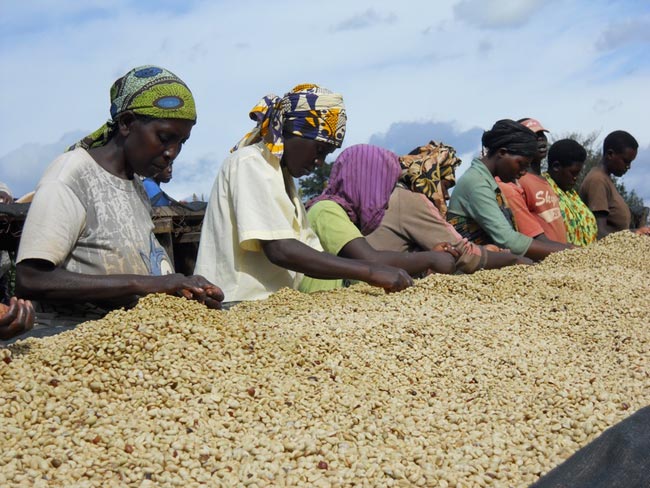 375f4a0a8a14eb5ed0ede27bc8e7e73b