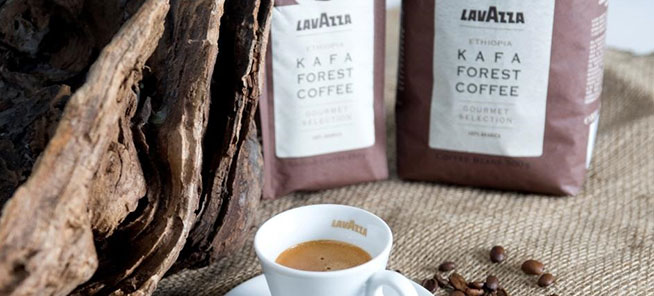 Lavazza_Kafa_Forest_Coffee
