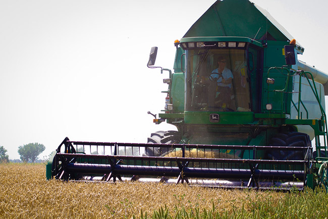 trebbiatura_orzo_birra_antoniana