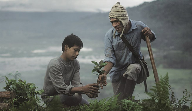 lavazza-Calendario-coltivatori