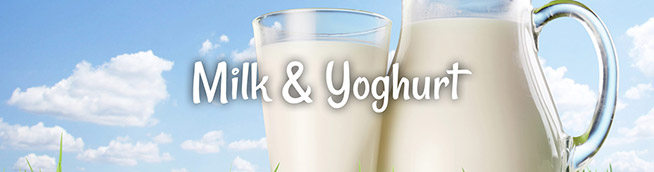milk-yogurt-banner