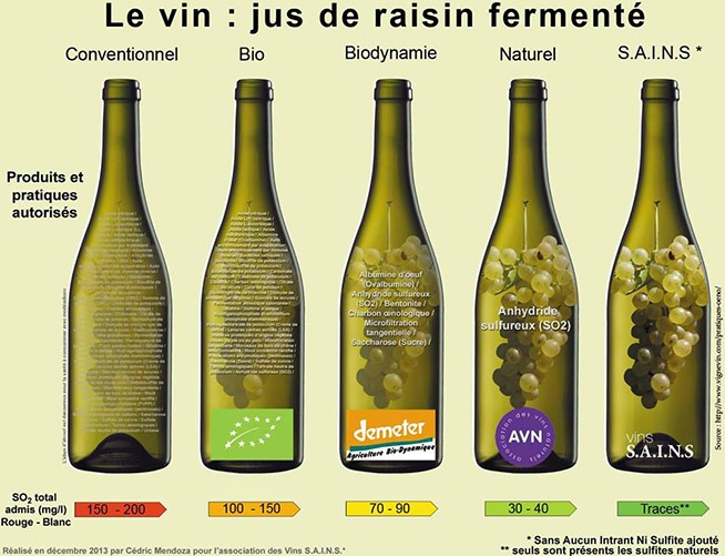 vini-naturali-e-altri-vins-sains