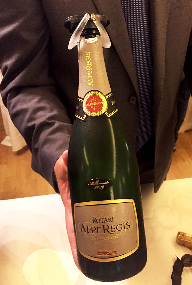 rotari-alpe-regis-trento-doc