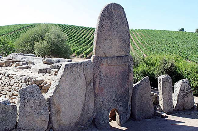 campidano-terralba-01