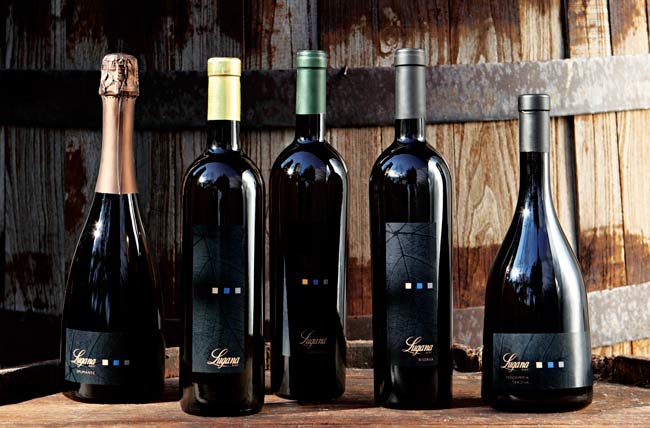 Lugana-cinque-vini