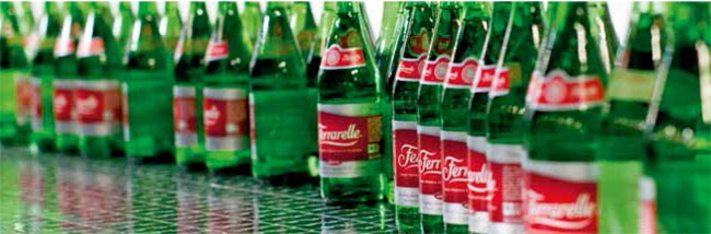 ferrarele_bilancio_di_sostenibilita_2015-13