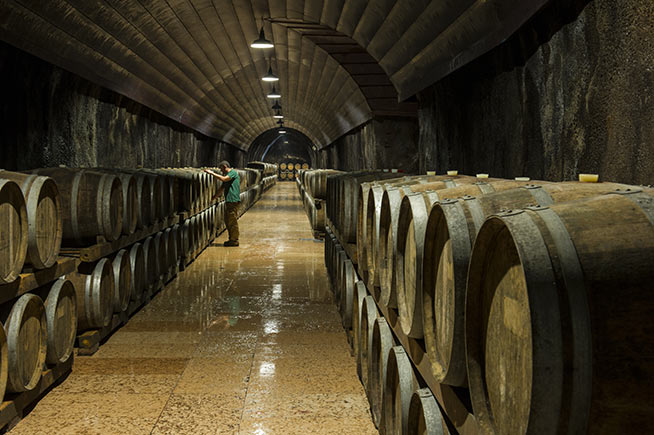 cantina-di-soave