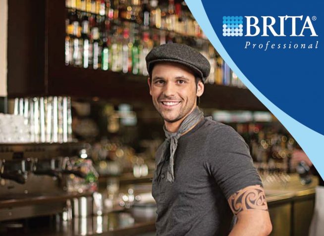 brita professional