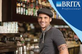 Brita-professional