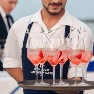 016_greygoosevenezia_1400x933