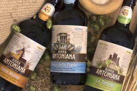 Cheese_presidi_antoniana_beverfood